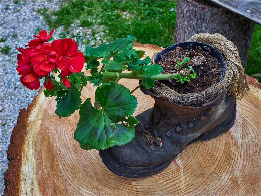 Dolomites 2017 5 137137