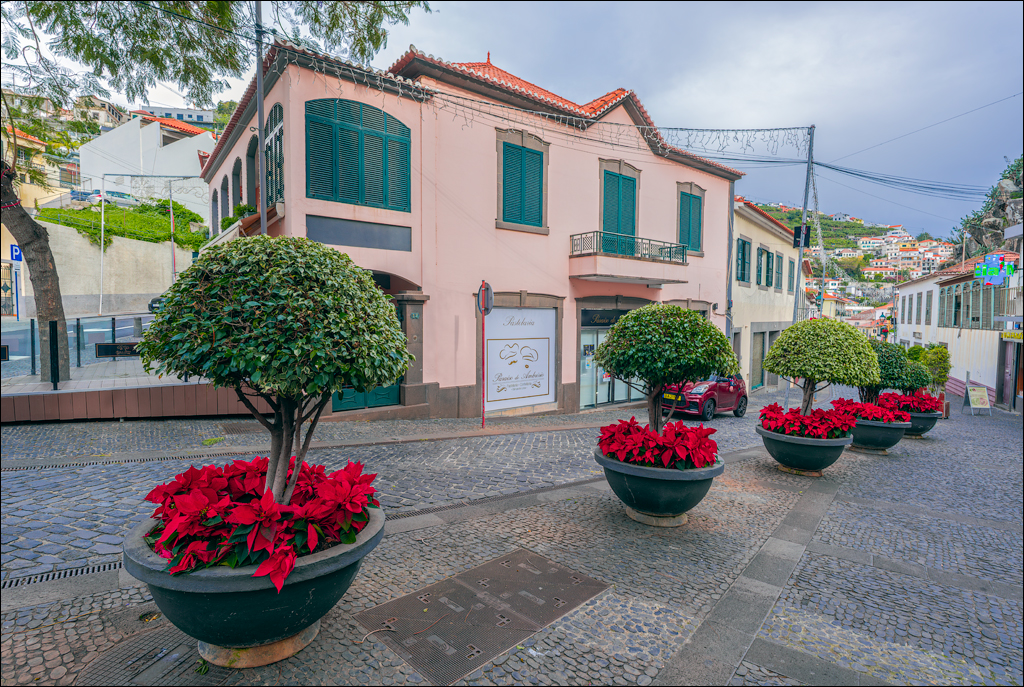 Madeira 24dec2024 08jan2025 118 00