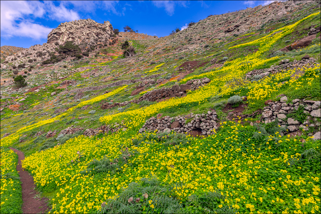 Madeira 24dec2024 08jan2025 134 00