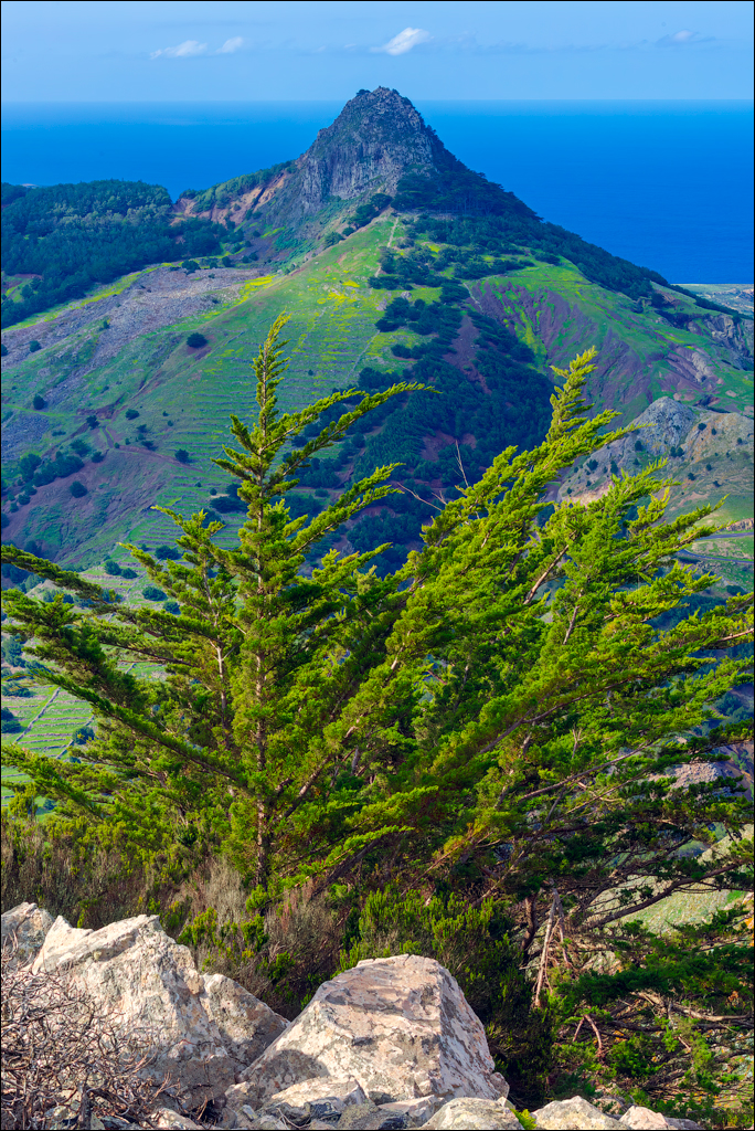 Madeira 24dec2024 08jan2025 157 00