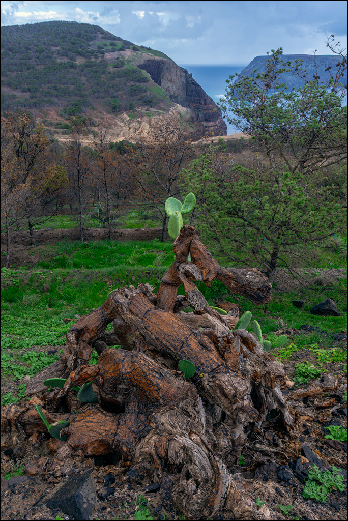 2Madeira 24dec2024 08jan2025 160 00