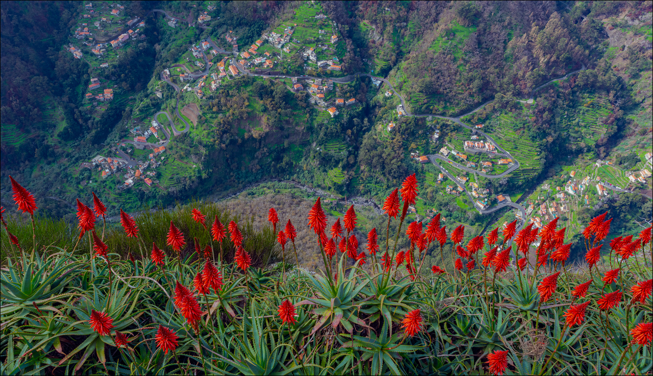 Madeira 24dec2024 08jan2025 123 00