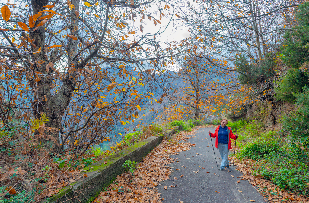 Madeira 24dec2024 08jan2025 166 00