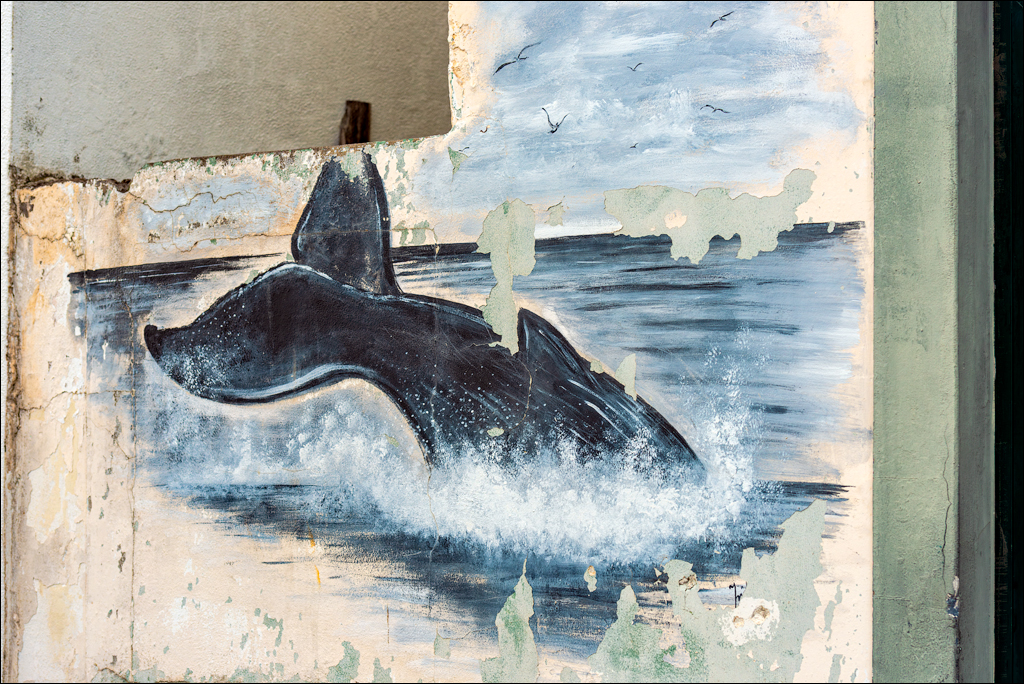 Madeira 24dec2024 08jan2025 112 00