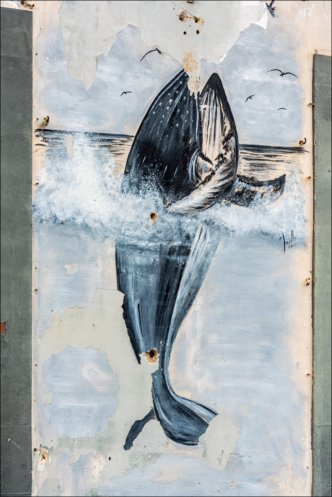 Madeira 24dec2024 08jan2025 113 00