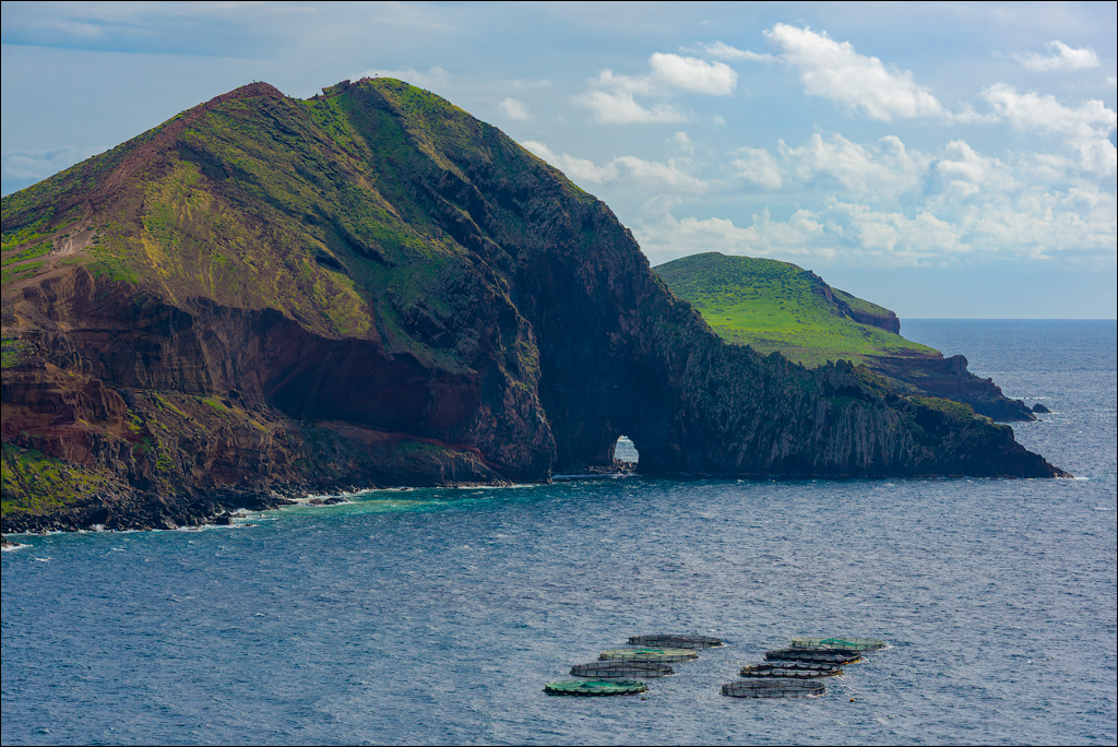 Madeira 24dec2024 08jan2025 129 00