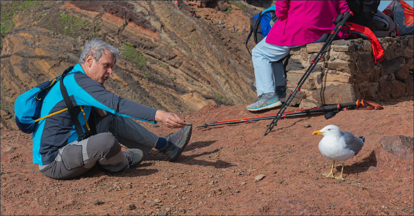 Madeira 24dec2024 08jan2025 165 00