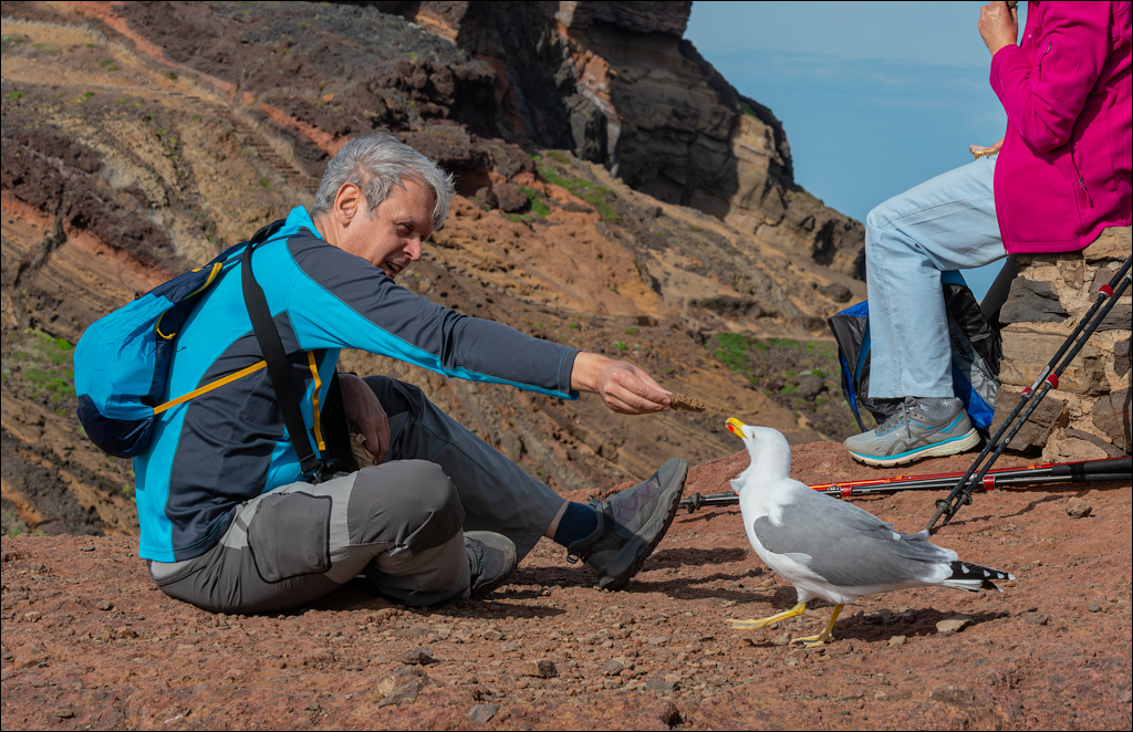 Madeira 24dec2024 08jan2025 168 00