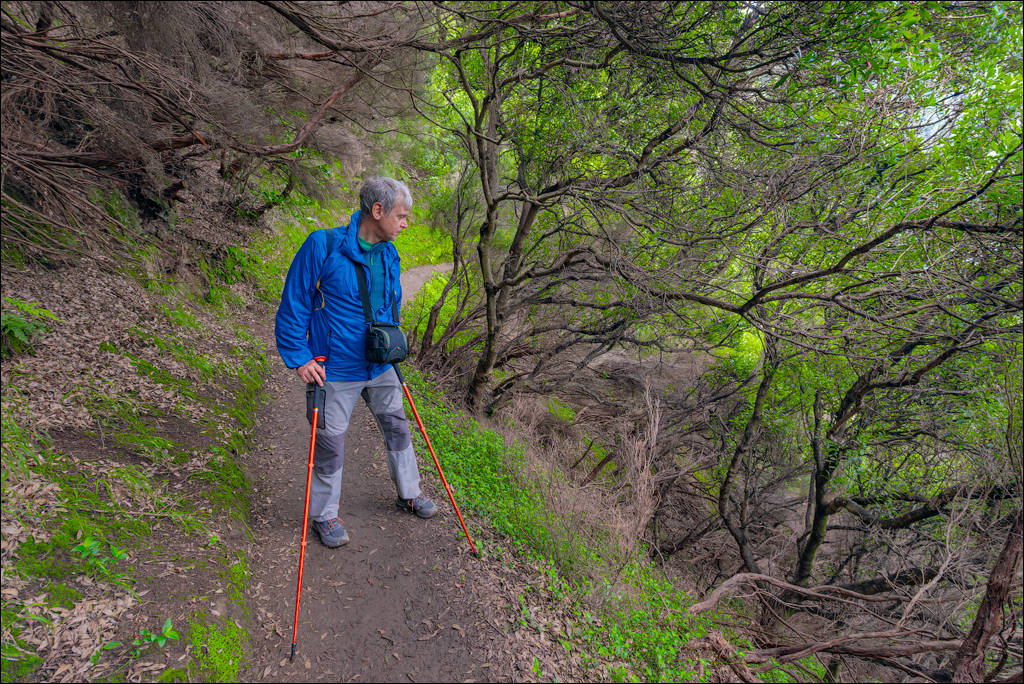 Madeira 24dec2024 08jan2025 190 00