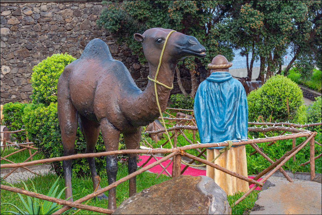 Madeira 24dec2024 08jan2025 128 00