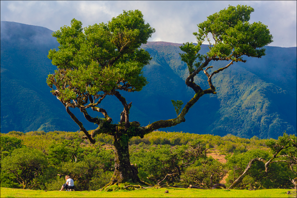 Madeira 24dec2024 08jan2025 151 00