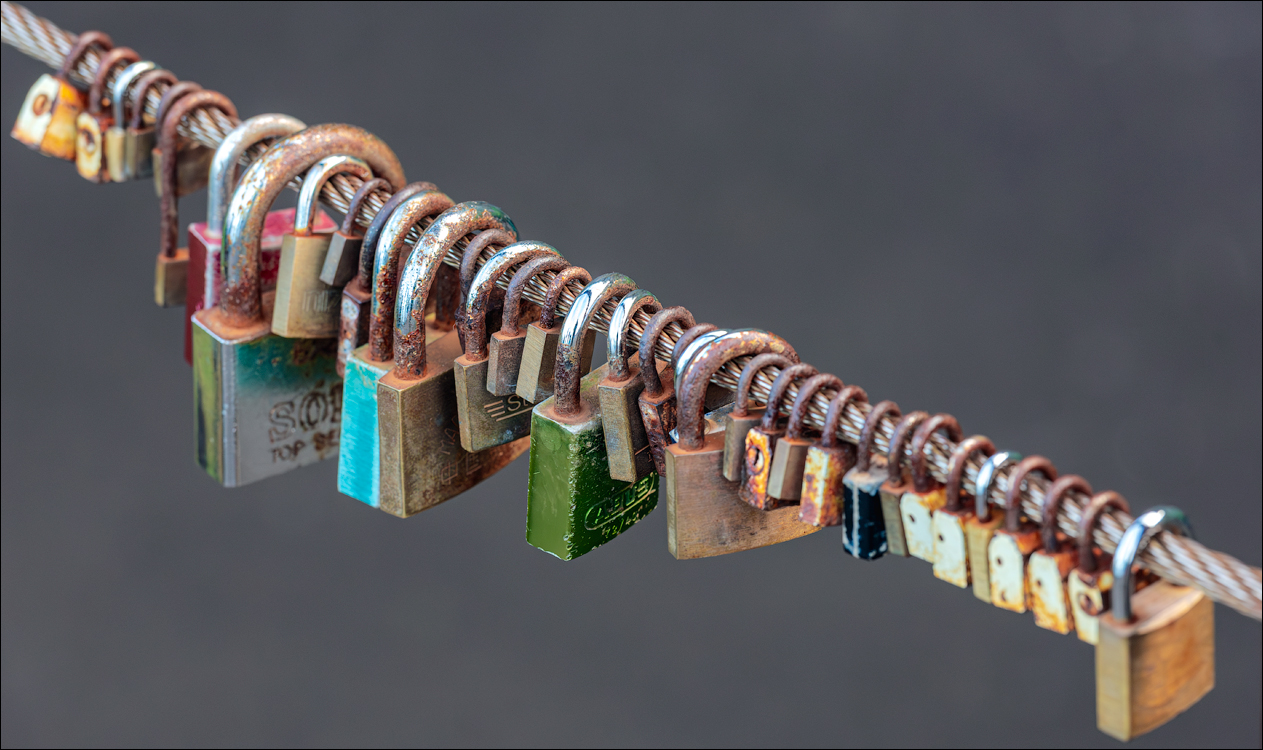 Madeira 24dec2024 08jan2025 168 00