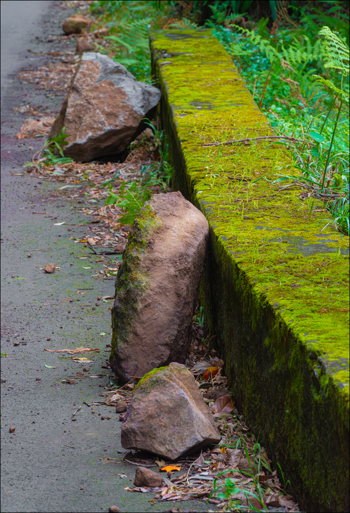 Madeira 24dec2024 08jan2025 175 00