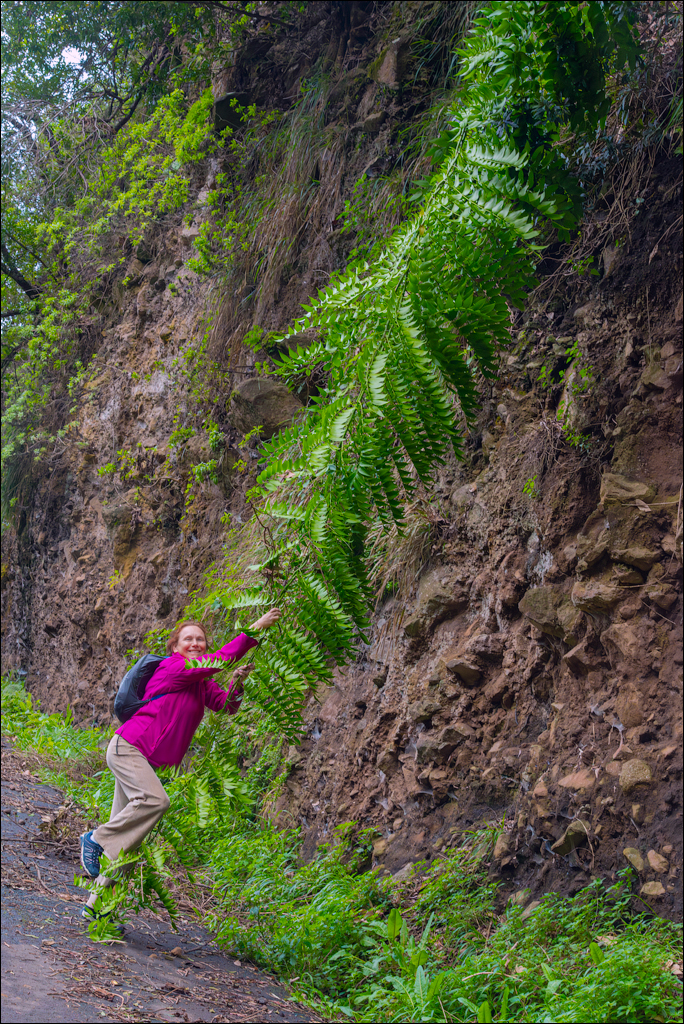 Madeira 24dec2024 08jan2025 177 00