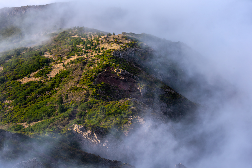 Madeira 24dec2024 08jan2025 110 00