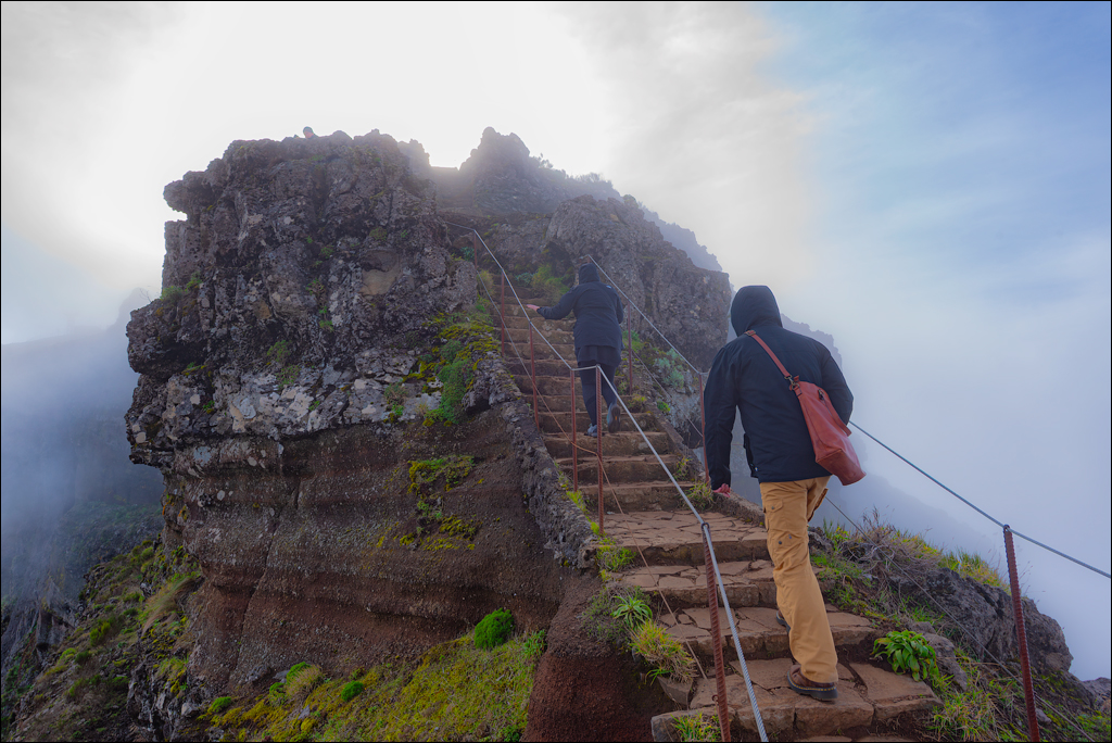 Madeira 24dec2024 08jan2025 123 00
