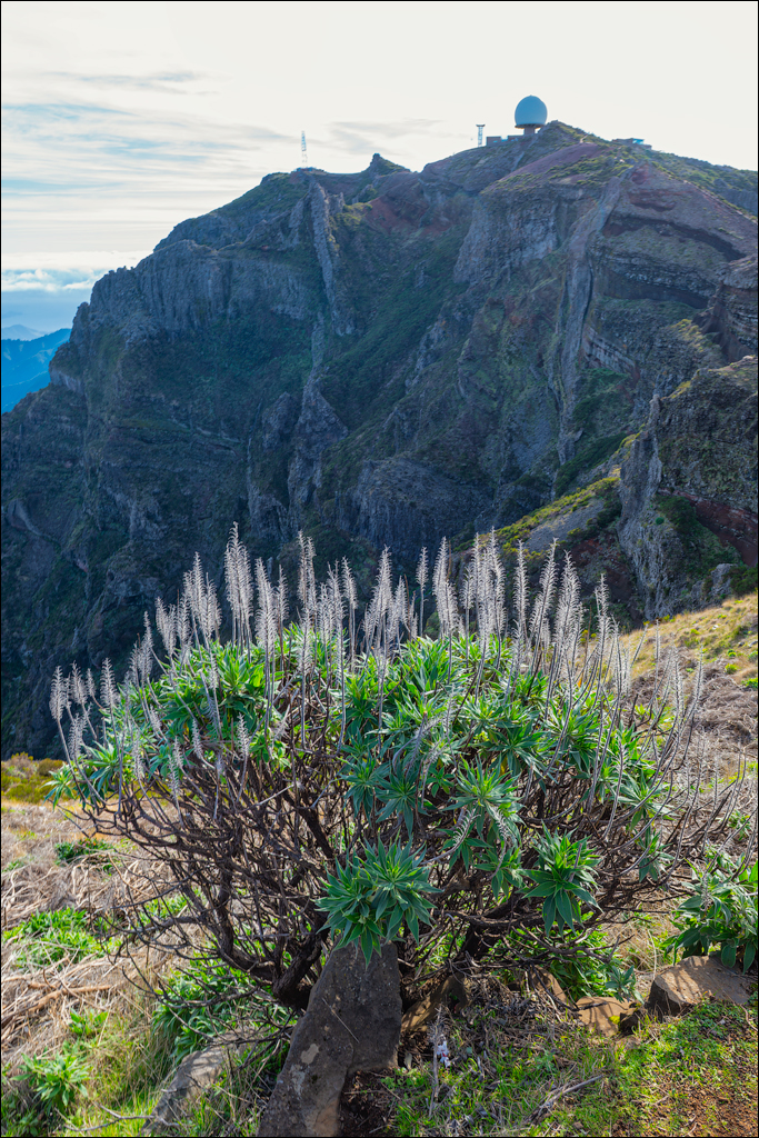 Madeira 24dec2024 08jan2025 131 00