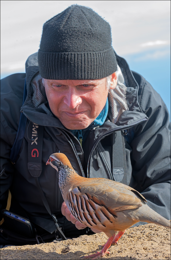 Madeira 24dec2024 08jan2025 156 00