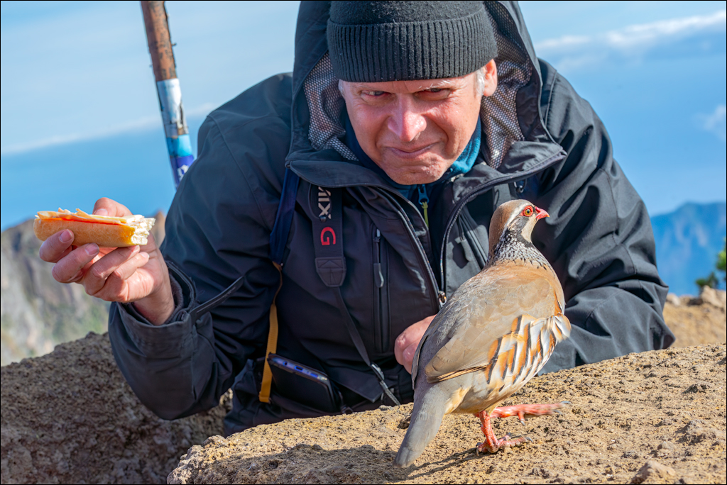 Madeira 24dec2024 08jan2025 158 00