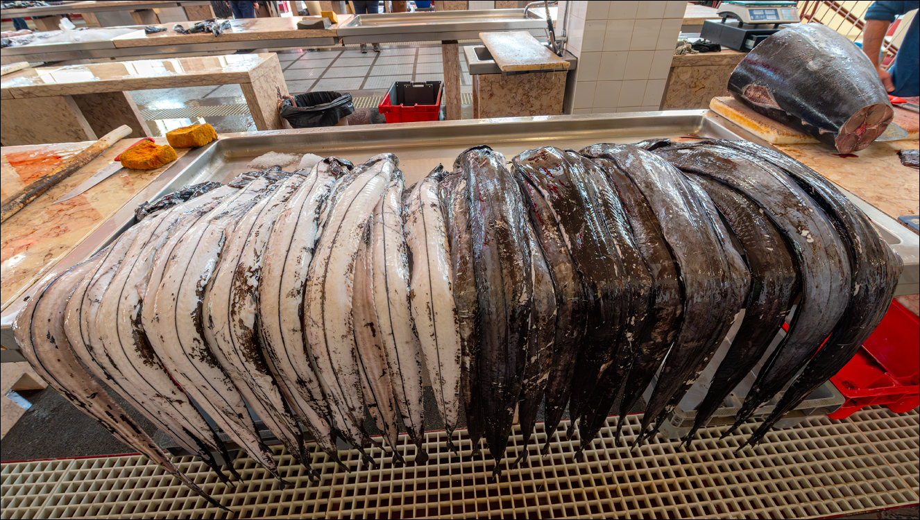 Madeira 24dec2024 08jan2025 148 00