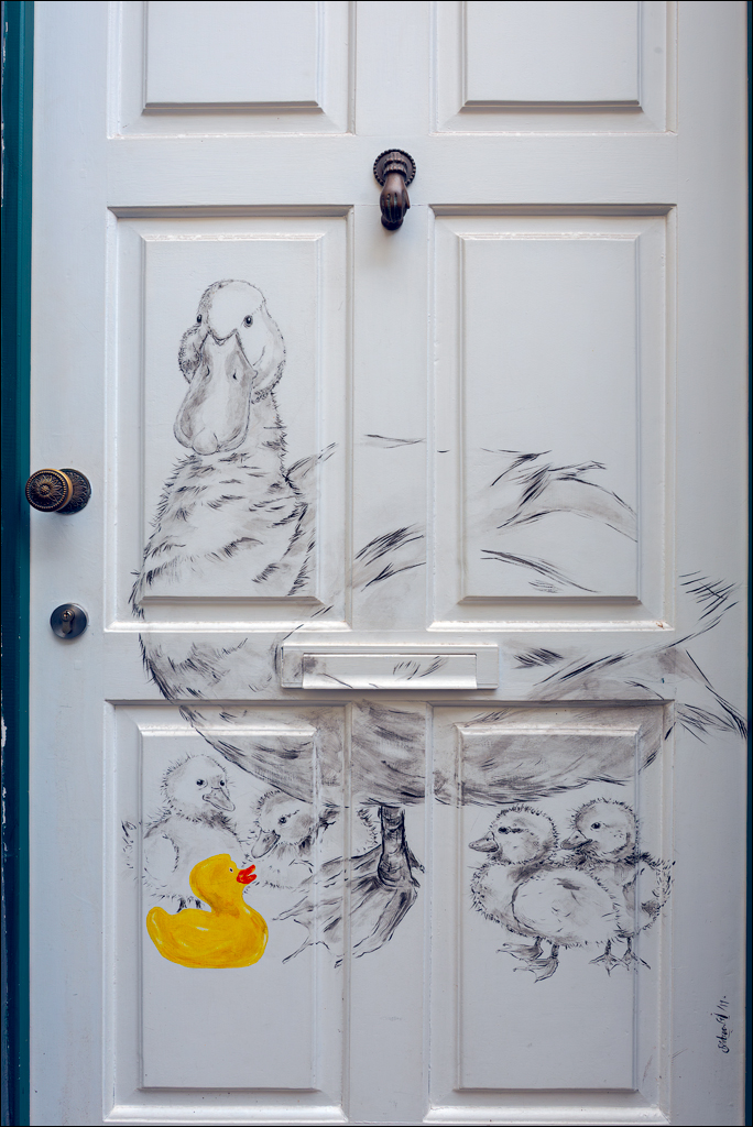 Madeira 24dec2024 08jan2025 178 00