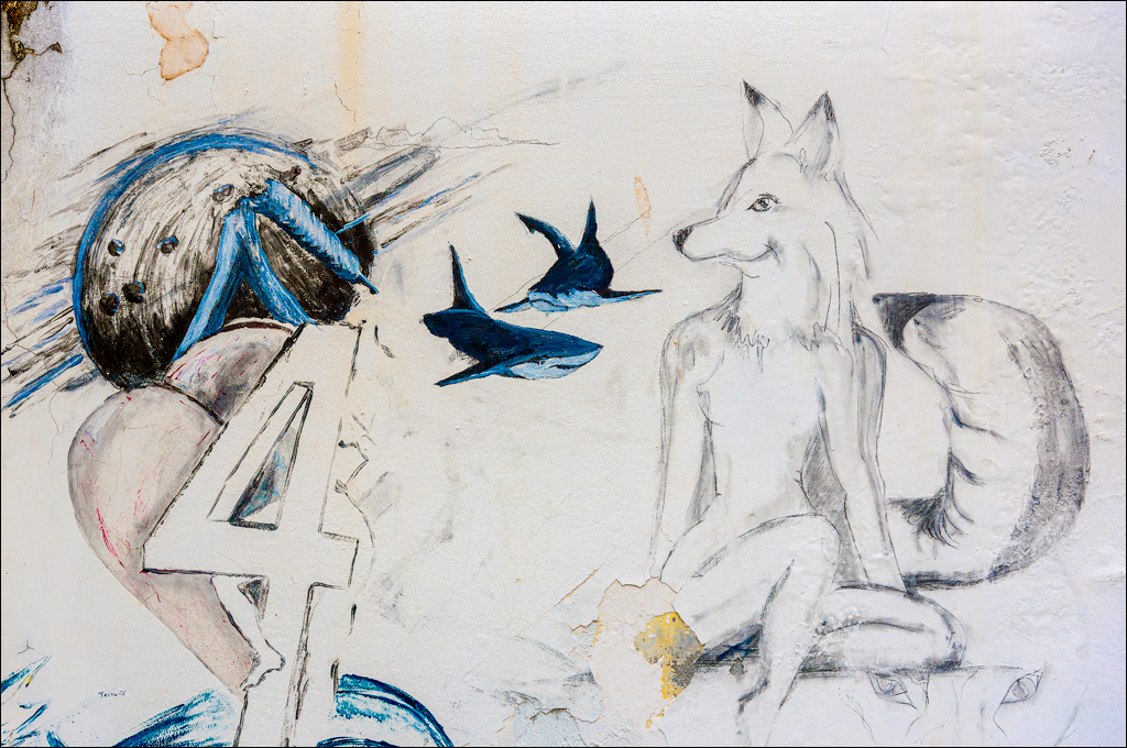 Madeira 24dec2024 08jan2025 193 00