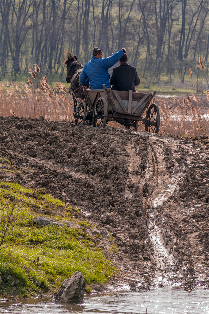 Cobani 2006 20060416088