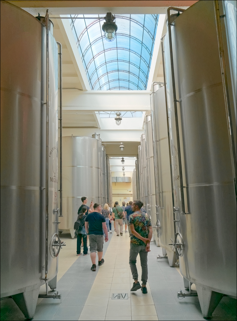 CojusnaWinery 27jul2024 149