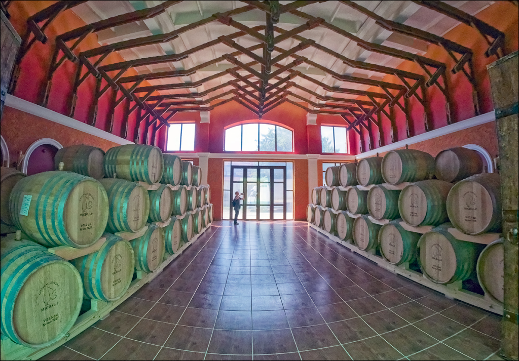 CojusnaWinery 27jul2024 150