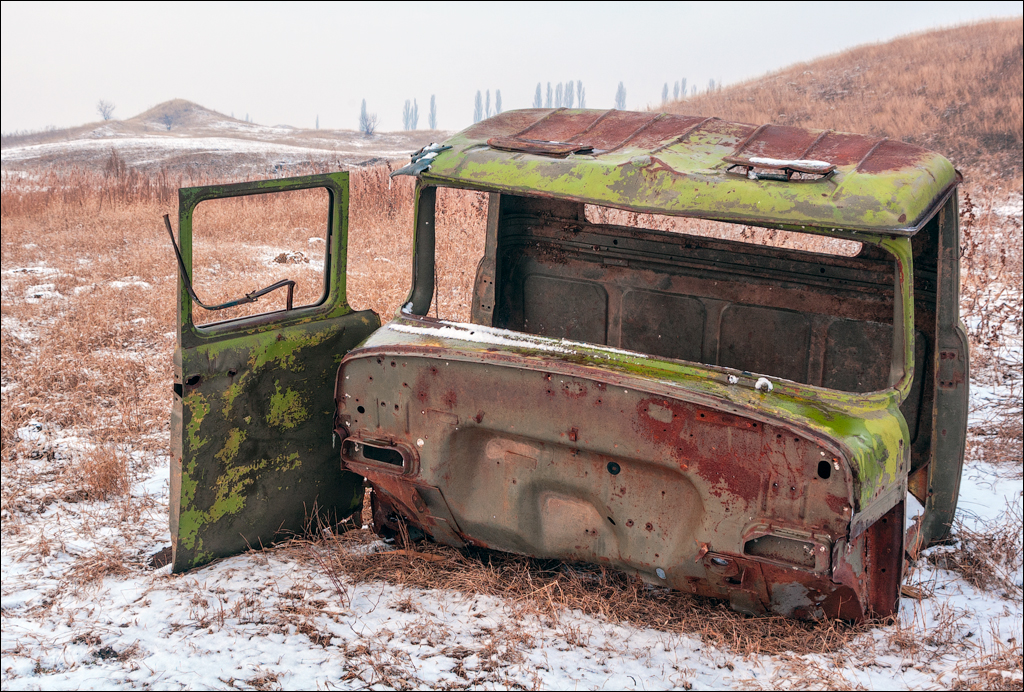 PadureaDomniasca Dec2005 006