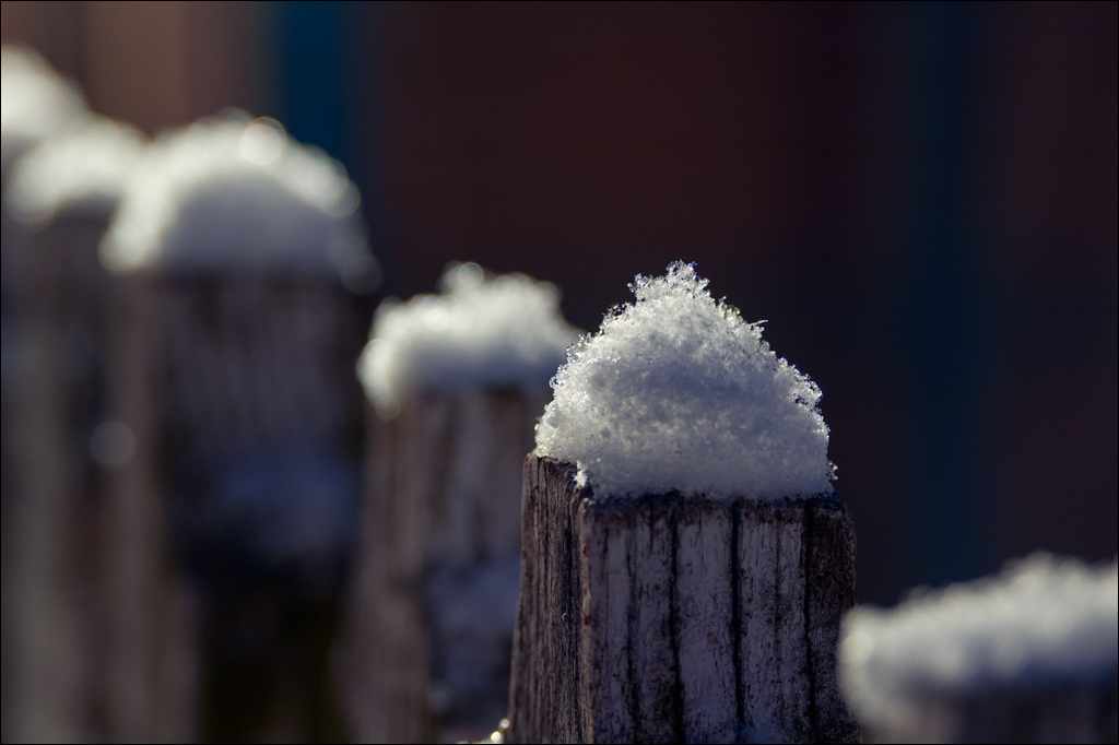 PadureaDomniasca Dec2005 015