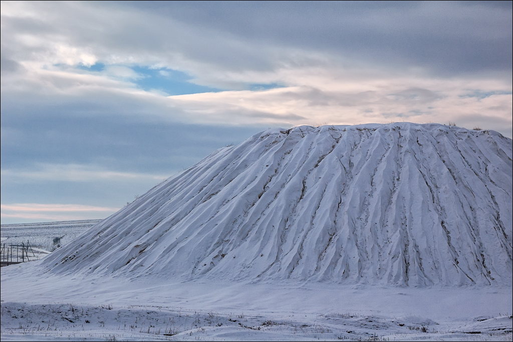 Padurea Domneasca '2005.