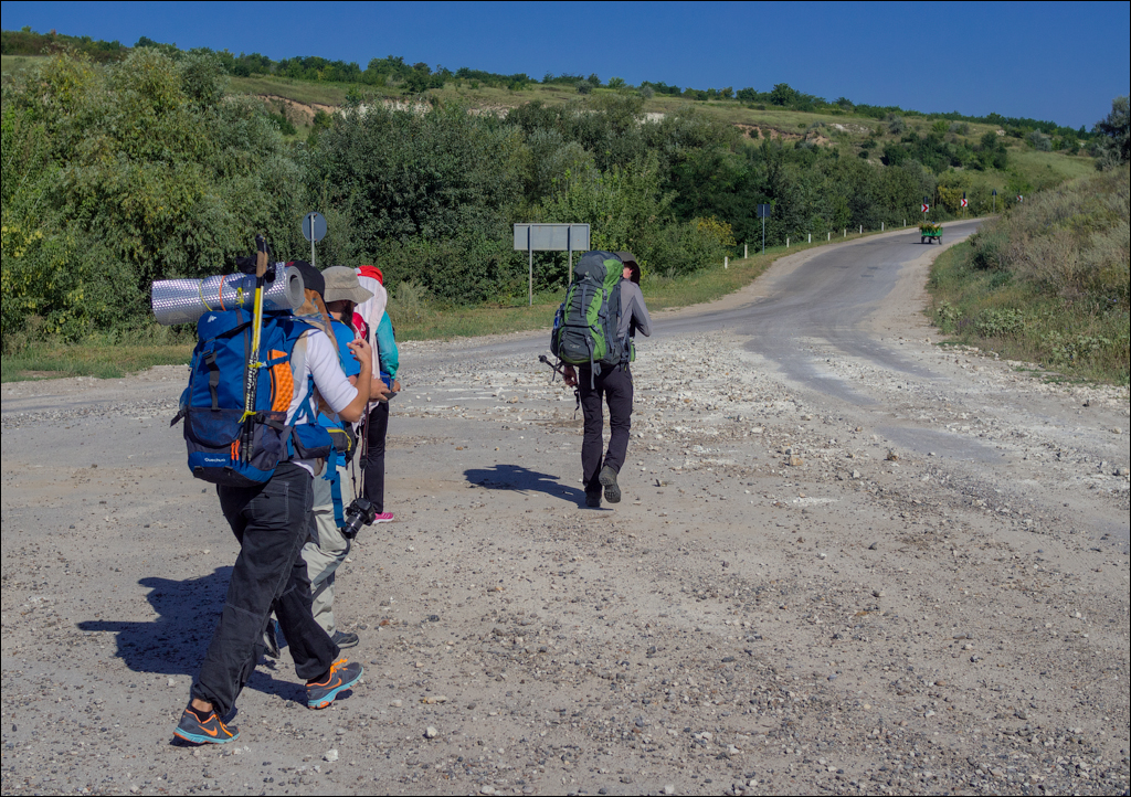 Sanatauca Racovat 201808011003