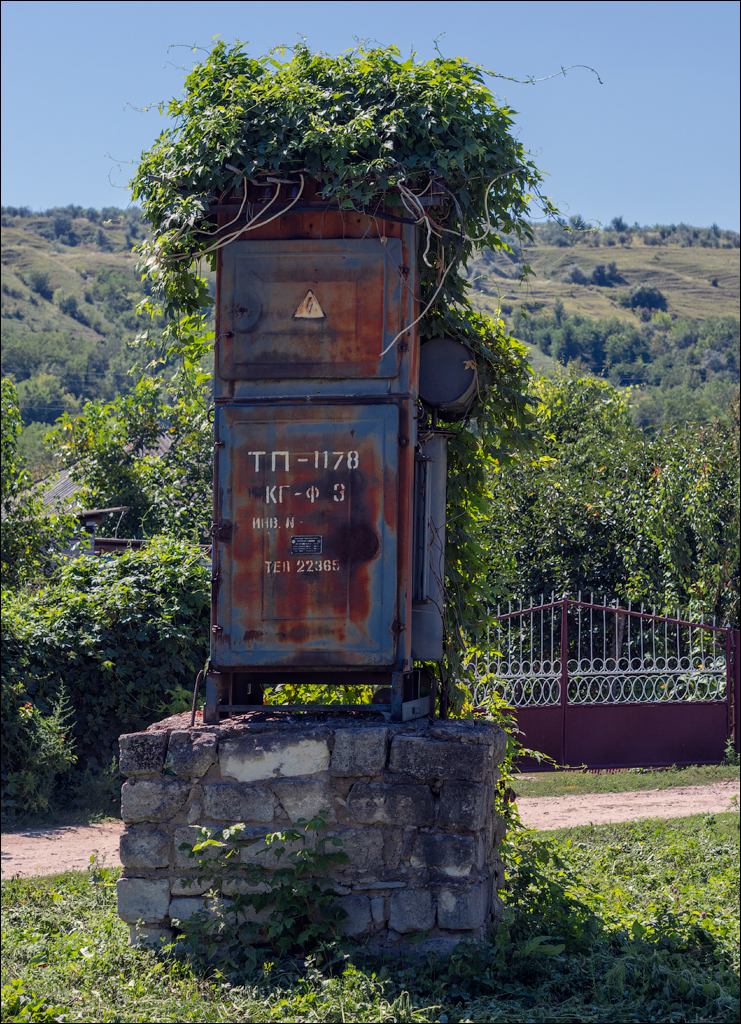 Sanatauca Racovat 201808011015