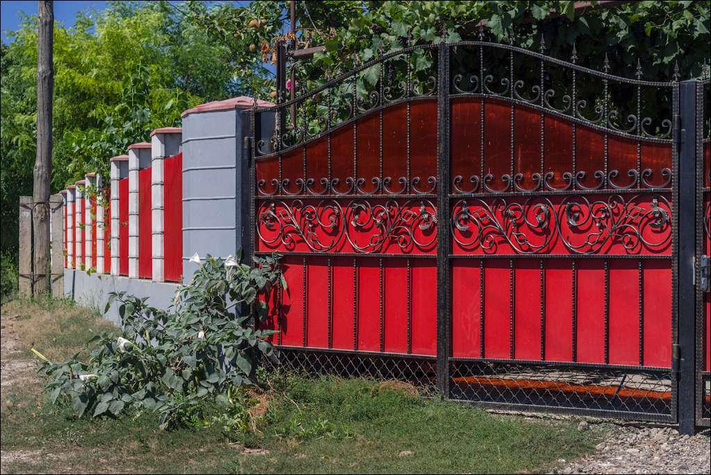 Sanatauca Racovat 201808011024