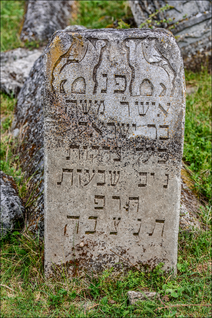 VadulRascov Socola 20180519110