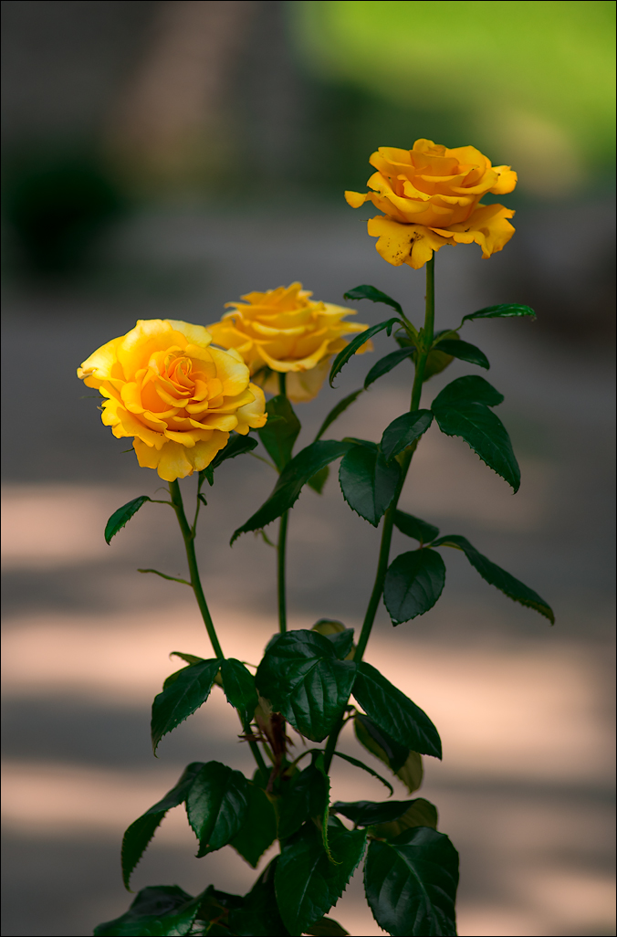 ArtLab20160625103846