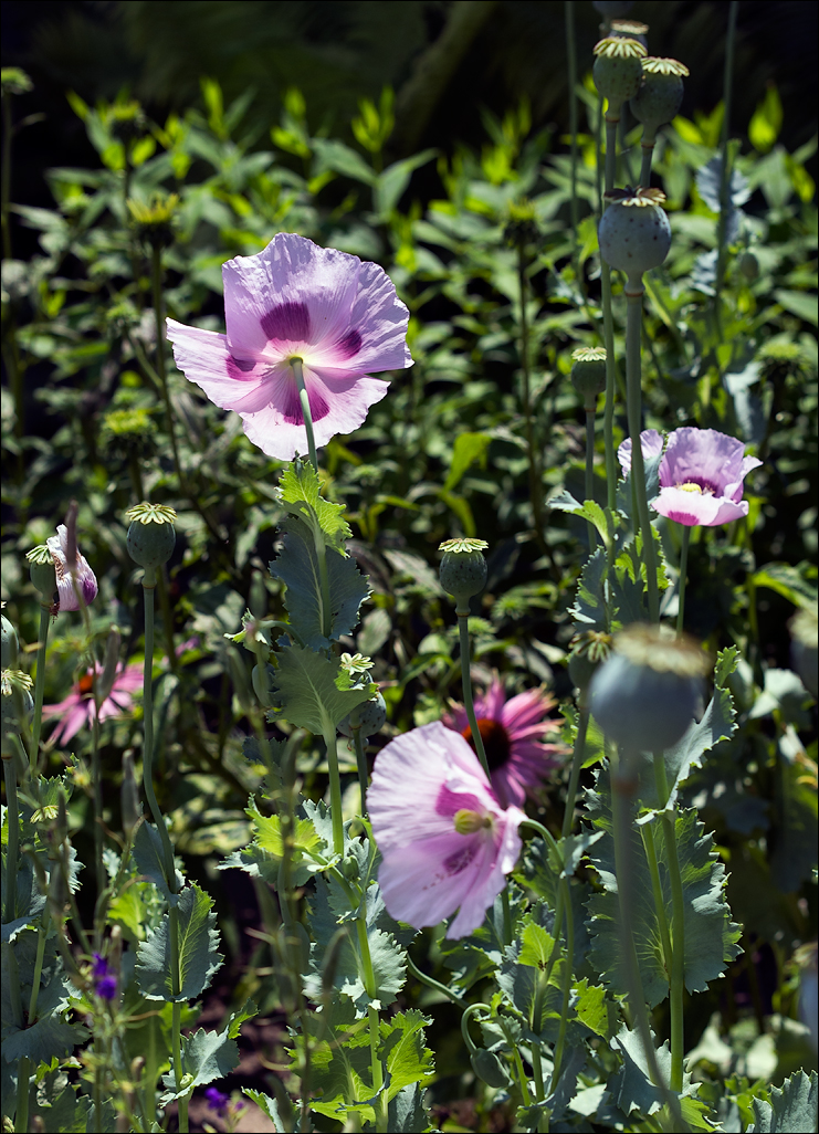 ArtLab20160625104455