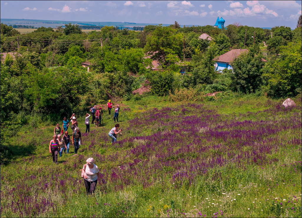 Costesti Duruitoarea PadureaDomn 20190427118