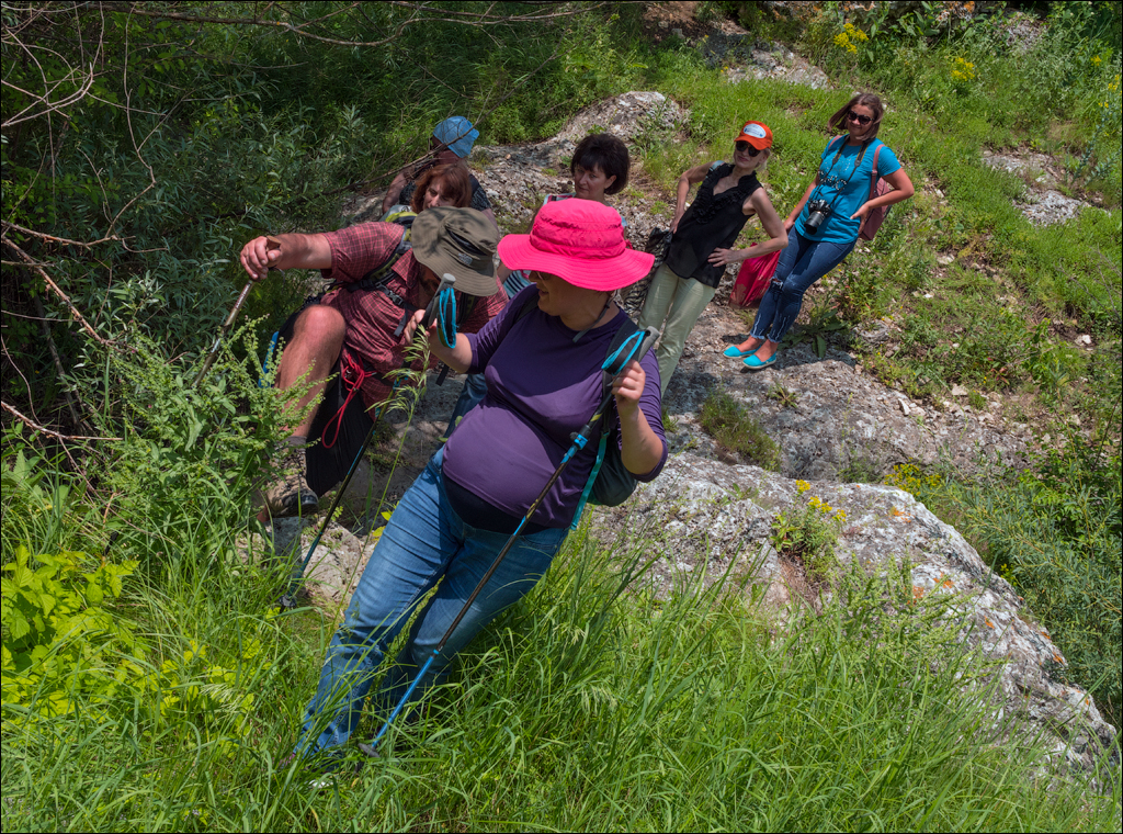 Costesti Duruitoarea PadureaDomn 20190427121