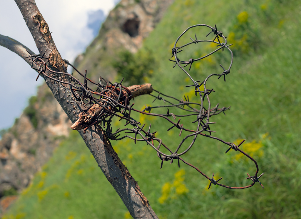 Costesti Duruitoarea PadureaDomn 20190427129