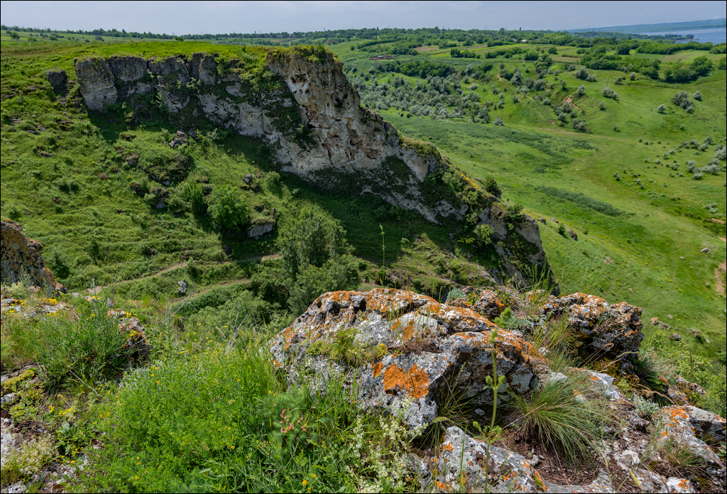 Costesti Duruitoarea PadureaDomn 20190427131