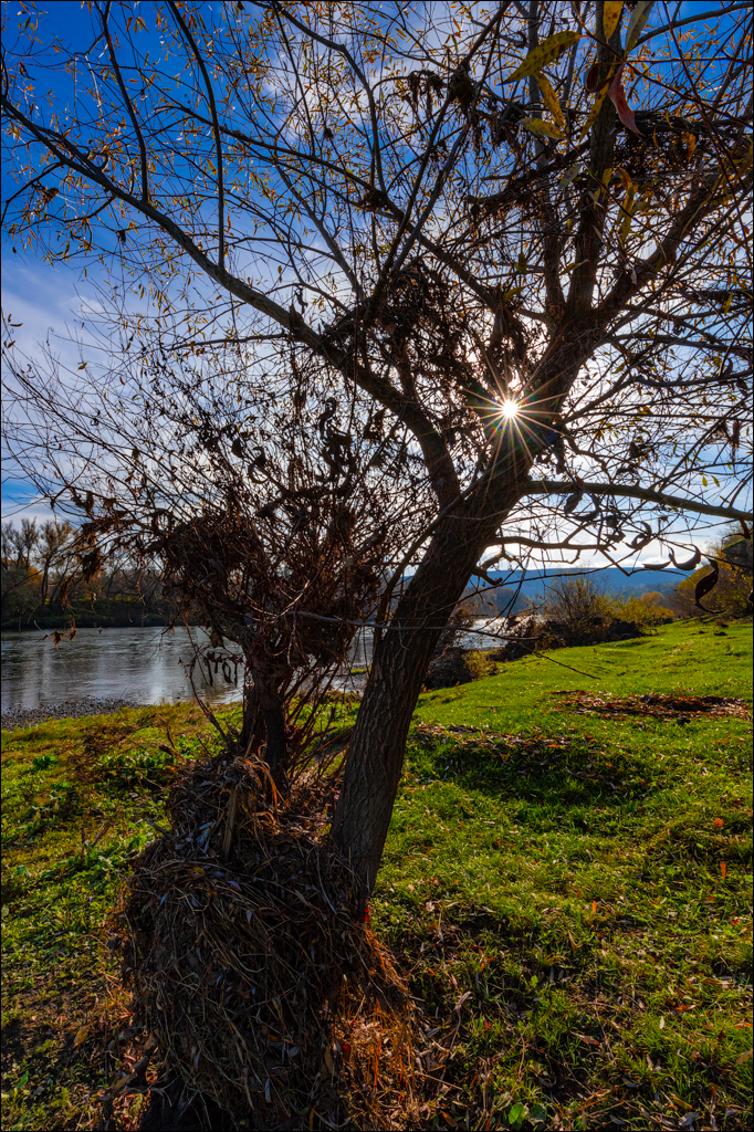 Naslavcea Taul Mindic 20201121 109