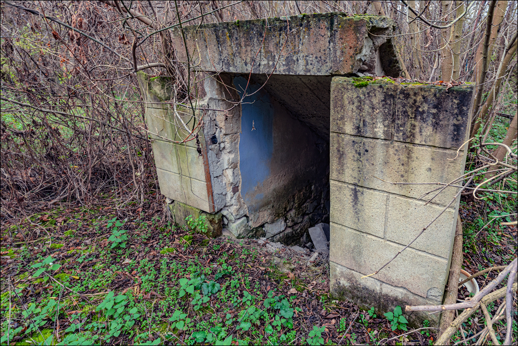 Naslavcea Taul Mindic 20201121 146