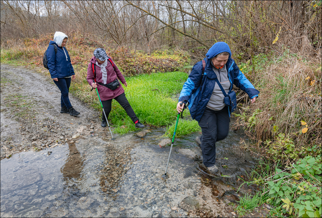 Naslavcea Taul Mindic 20201121 147