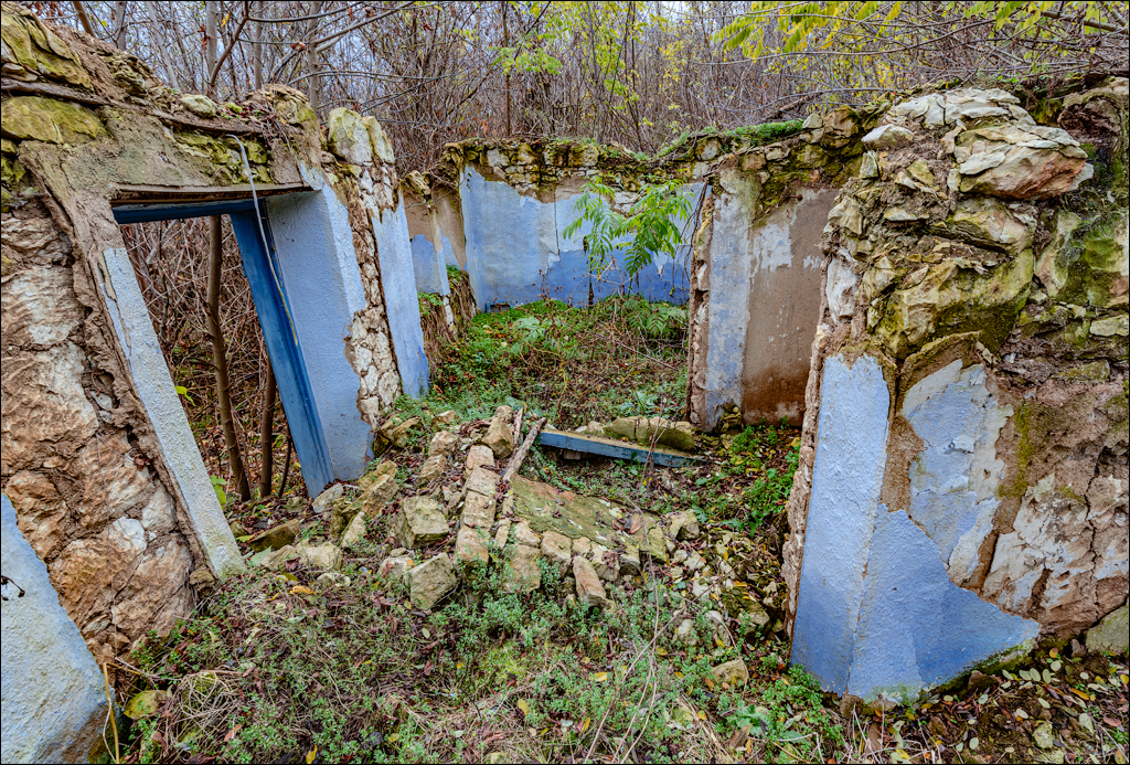 Naslavcea Taul Mindic 20201121 148