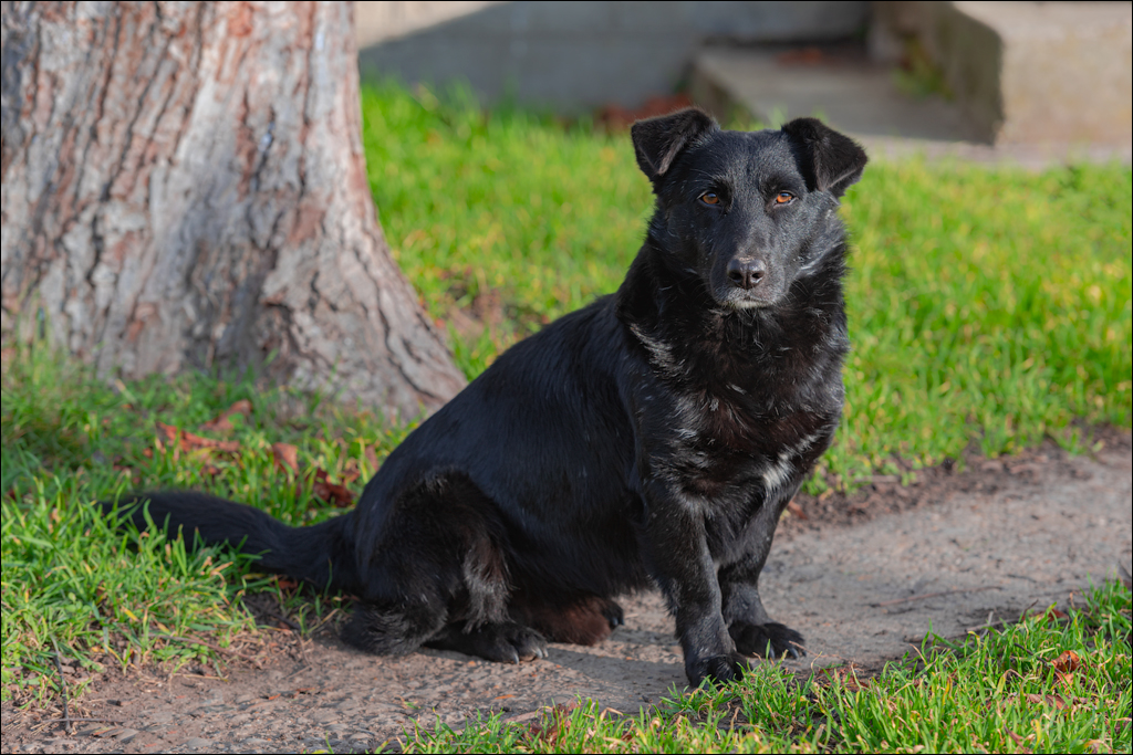 Naslavcea Taul Mindic 20201121 177