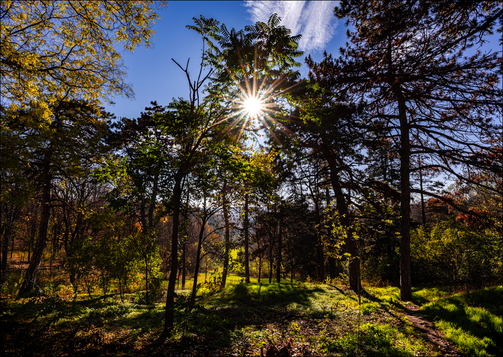 Naslavcea Taul Mindic 20201121 225