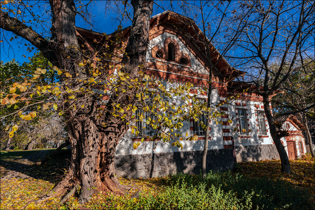 Naslavcea Taul Mindic 20201121 235