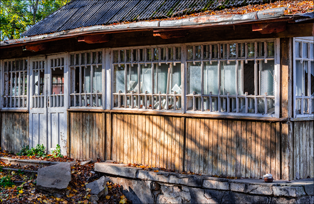 Naslavcea Taul Mindic 20201121 242